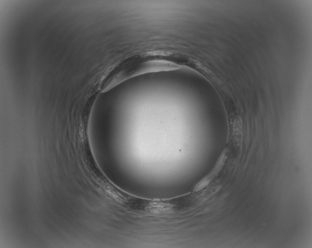 X0000052920617200507151552