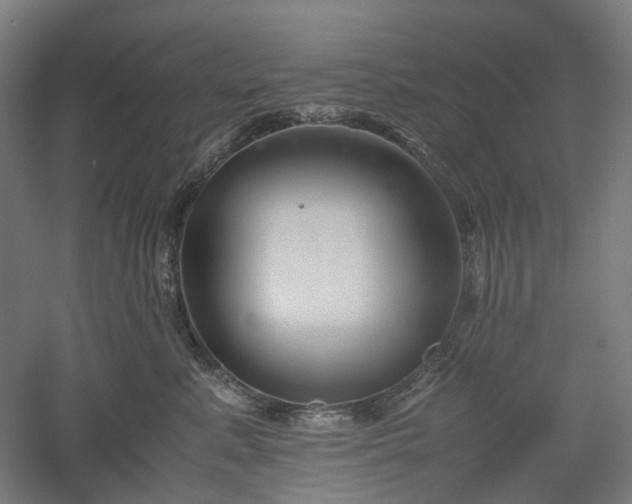 X0000052920619200507151552