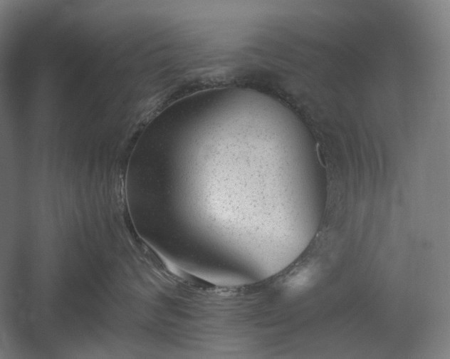 X0000052920624200507151552
