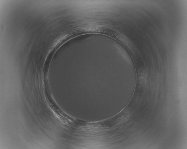 X0000052920626200507151551