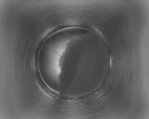 X0000052920627200507151551