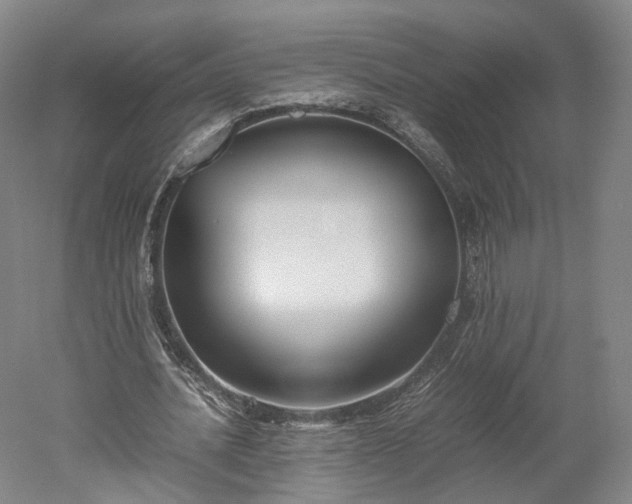 X0000052920628200507151551