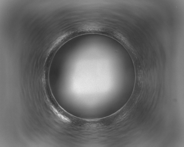 X0000052920629200507151551
