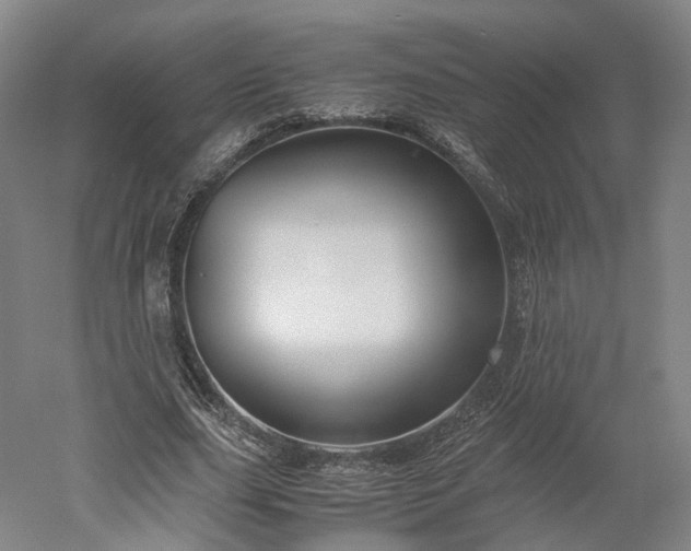 X0000052920631200507151551