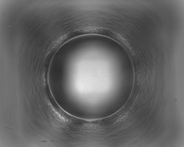 X0000052920633200507151551