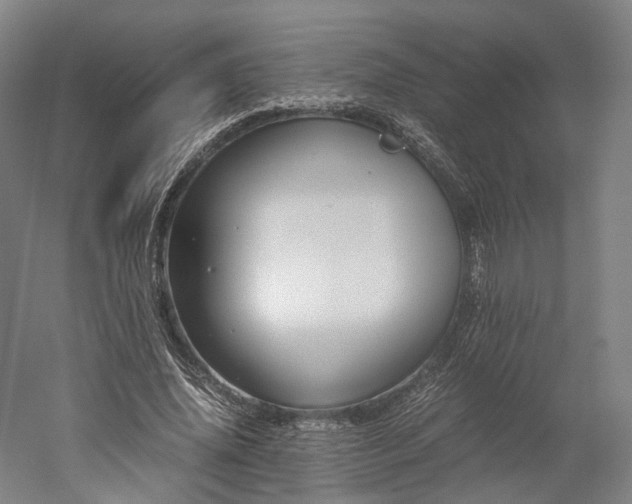 X0000052920636200507151551