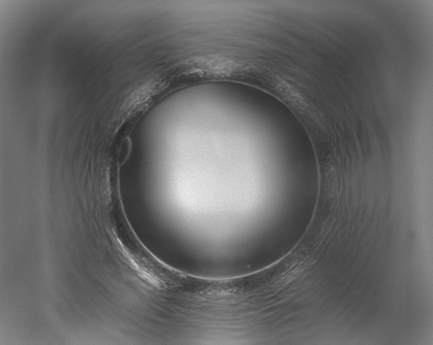 X0000052920638200507151551