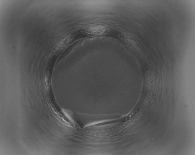 X0000052920641200507151551