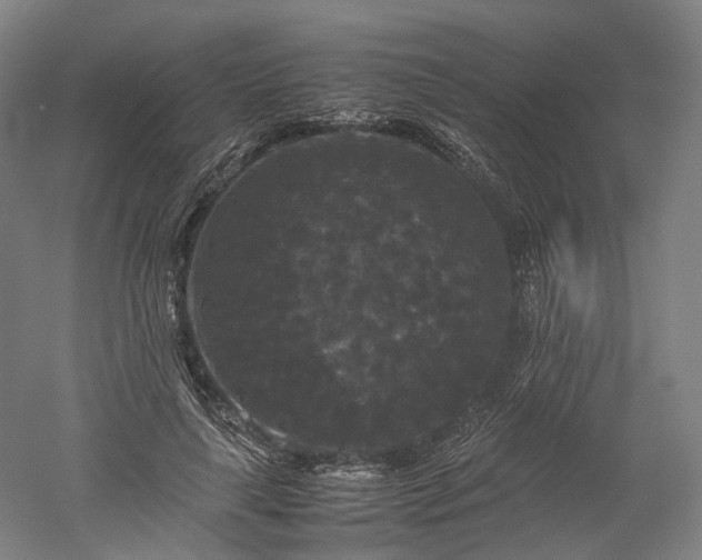 X0000052920643200507151551