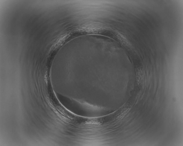 X0000052920644200507151551