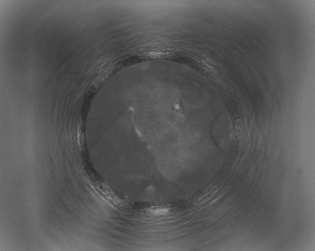 X0000052920651200507151552