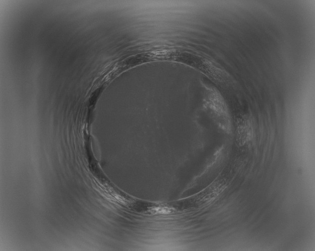 X0000052920654200507151552