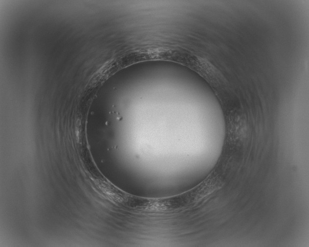 X0000052920656200507151552