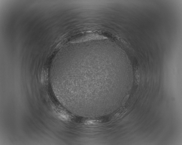 X0000052920657200507151552