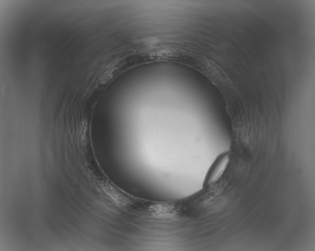 X0000052920660200507151552