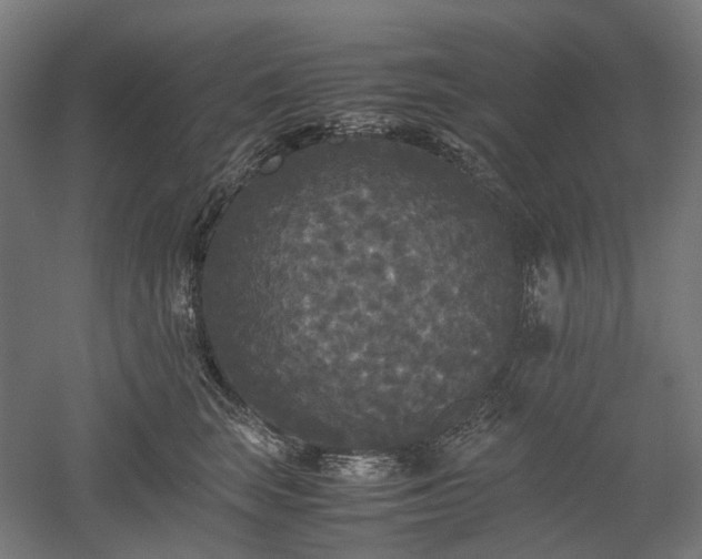 X0000052920663200507151552