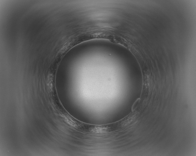 X0000052920664200507151552