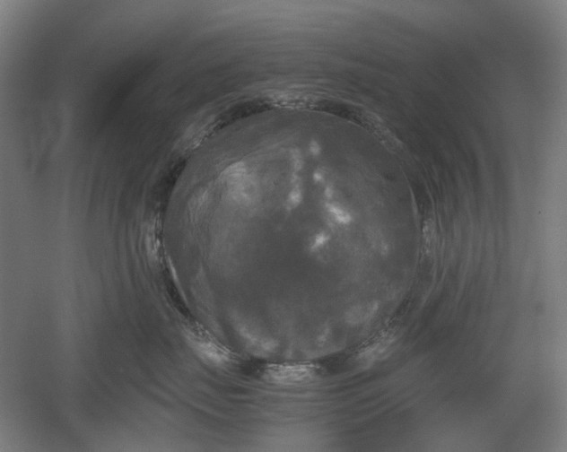 X0000052920671200507151552
