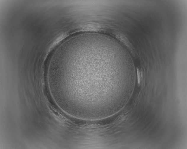 X0000052920675200507151551