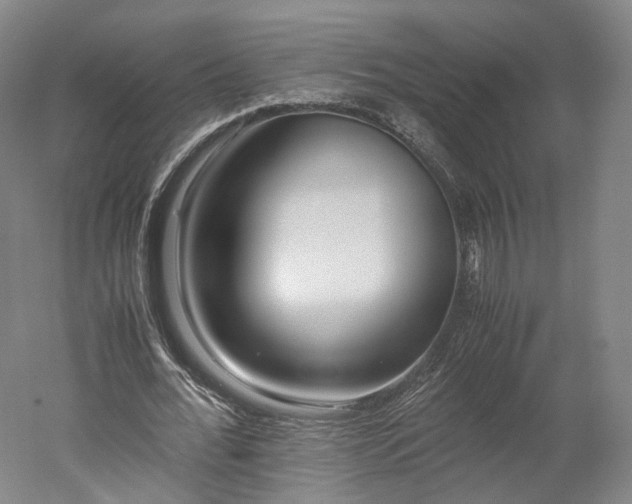 X0000052920676200507151551