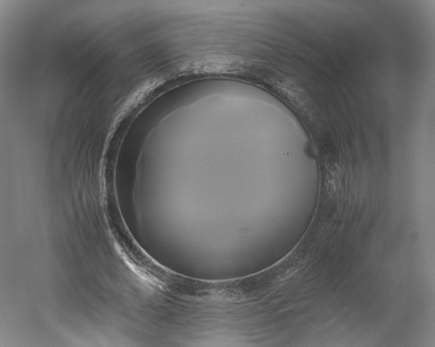 X0000052920678200507151551