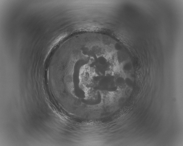 X0000052920679200507151551
