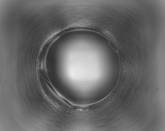 X0000052920680200507151551