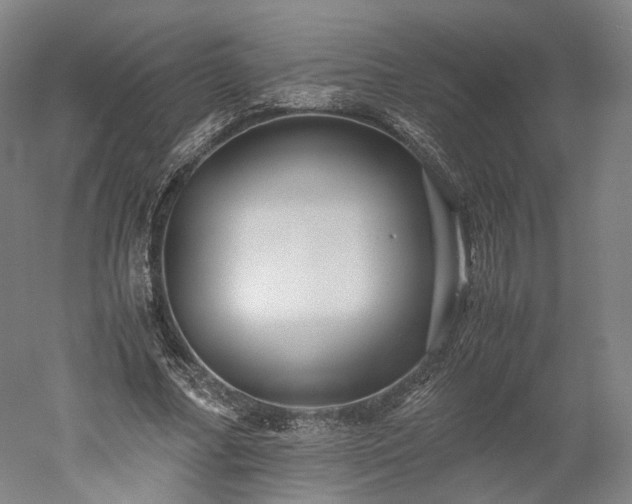 X0000052920682200507151551