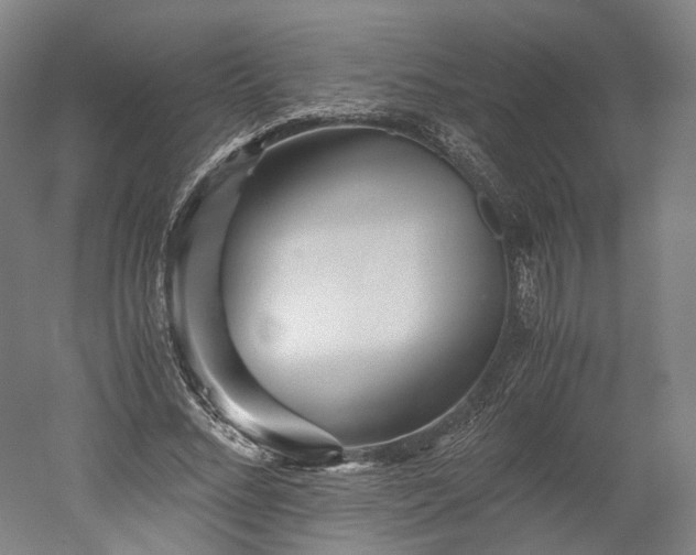 X0000052920684200507151551