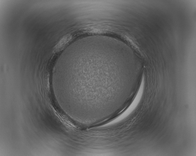 X0000052920685200507151551