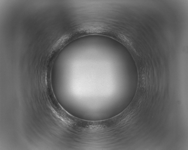 X0000052920686200507151551