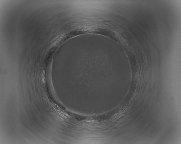 X0000052920689200507151551