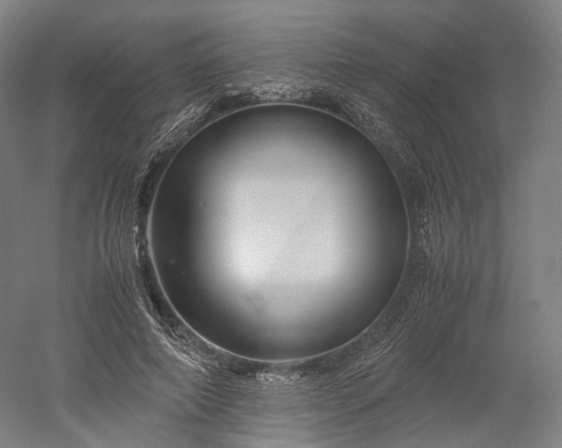 X0000052920690200507151551