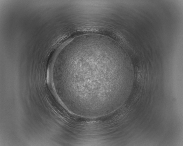 X0000052920692200507151551