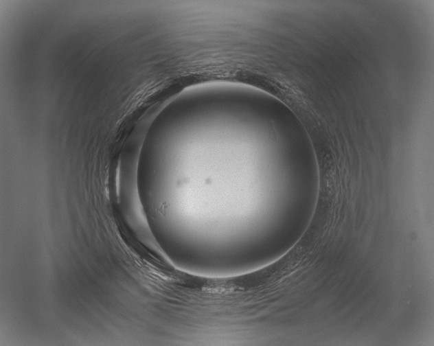 X0000052920693200507151551