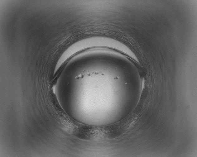 X0000052920697200507151551