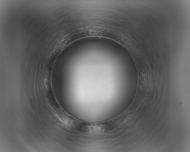 X0000052920698200507151551