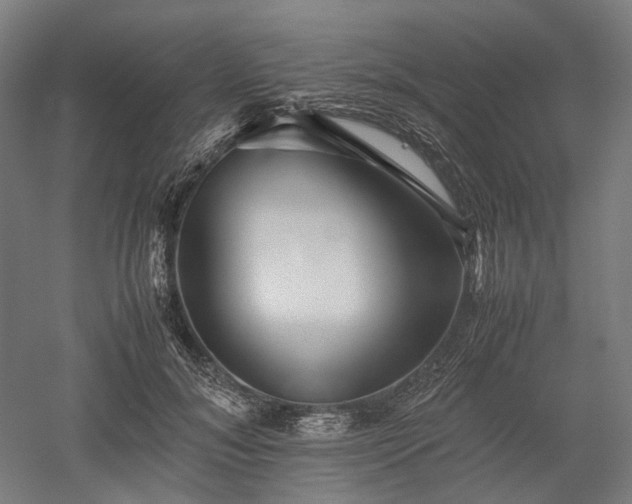 X0000052920700200507151551