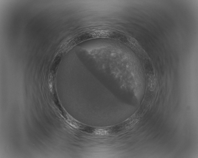 X0000052920701200507151551