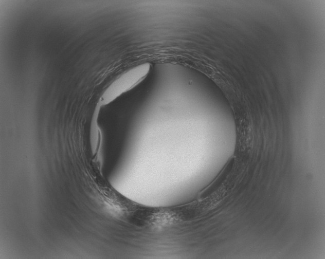 X0000052920704200507151551