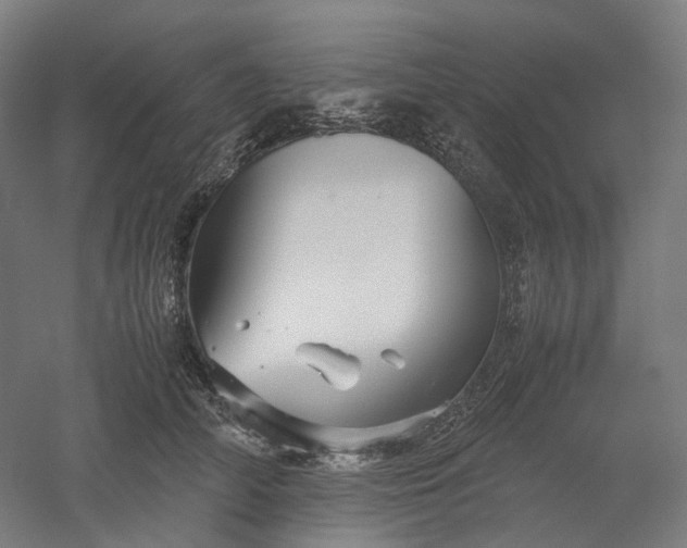 X0000052920706200507151551