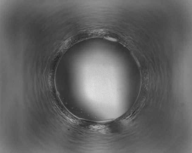 X0000052920708200507151550