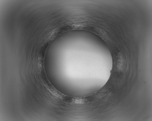 X0000052920710200507151550