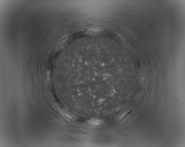 X0000052920711200507151550