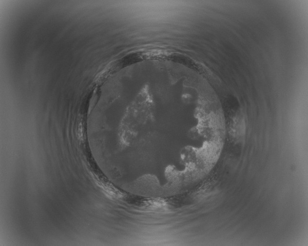 X0000052920715200507151550