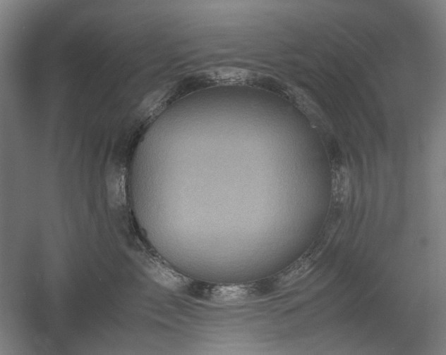 X0000052920717200507151550