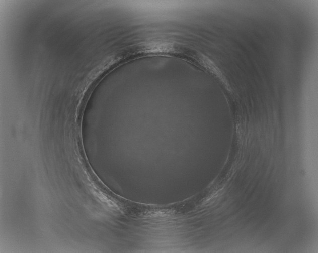 X0000052920721200507151549