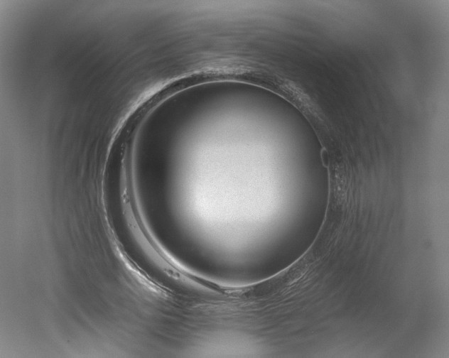 X0000052920726200507151550