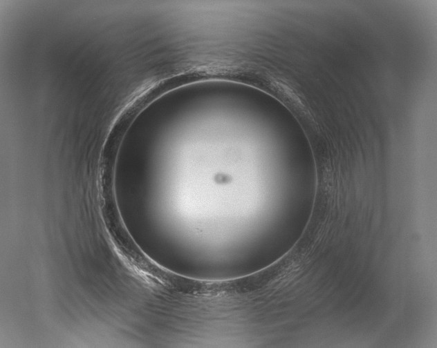 X0000052920730200507151550