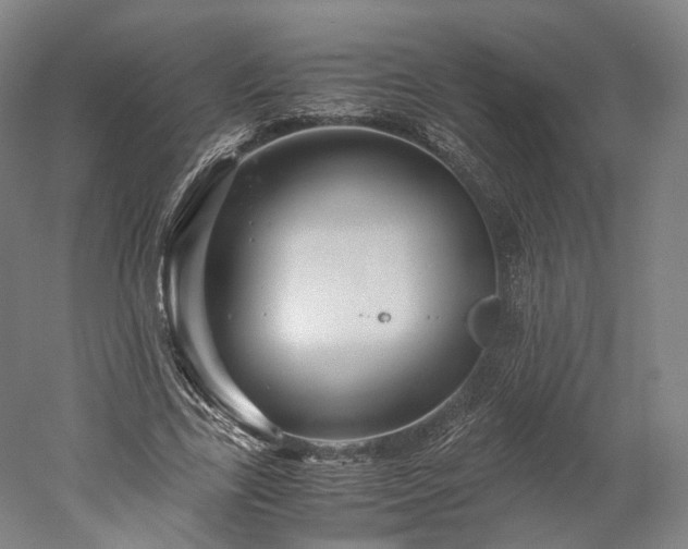 X0000052920731200507151550